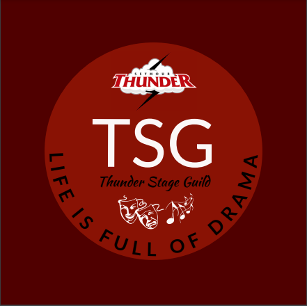 Join Exciting Tournaments at TSG Academy